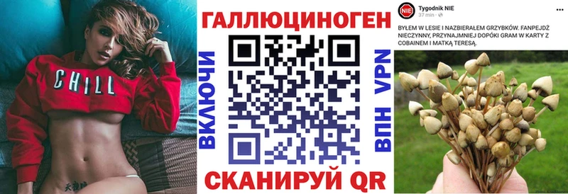 Галлюциногенные грибы MAGIC MUSHROOMS  blacksprut tor  Ейск 